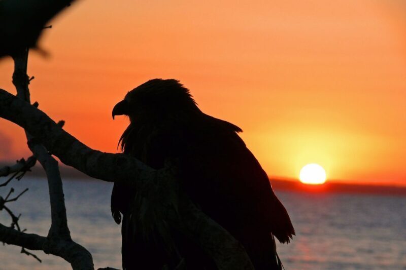 Hervey Bay: Relaxing Sunset Cruise with Champagne and Prawns - Why This Tour Works — The Real Value