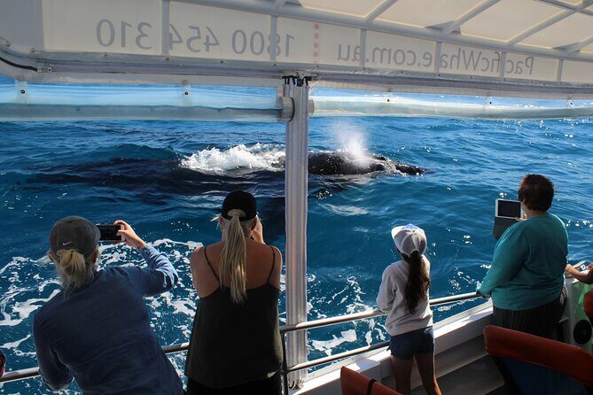 Hervey Bay Ultimate Whale Watching Cruise - Hervey Bay Ultimate Whale Watching Cruise: A Detailed Review