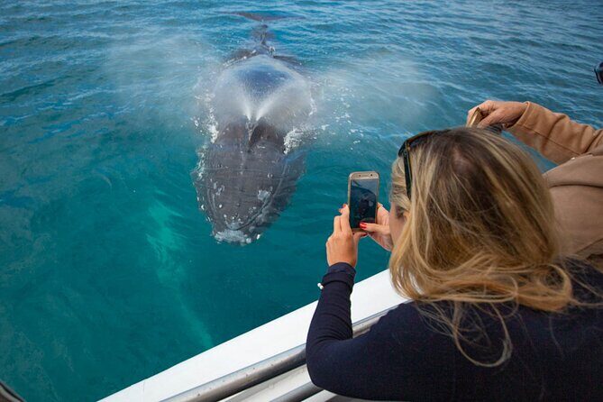 Hervey Bay Ultimate Whale Watching Cruise - Who Will Appreciate This Experience?