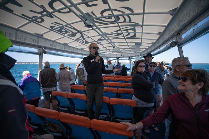 Hervey Bay Ultimate Whale Watching Cruise - The Sum Up: Is This Tour Right for You?