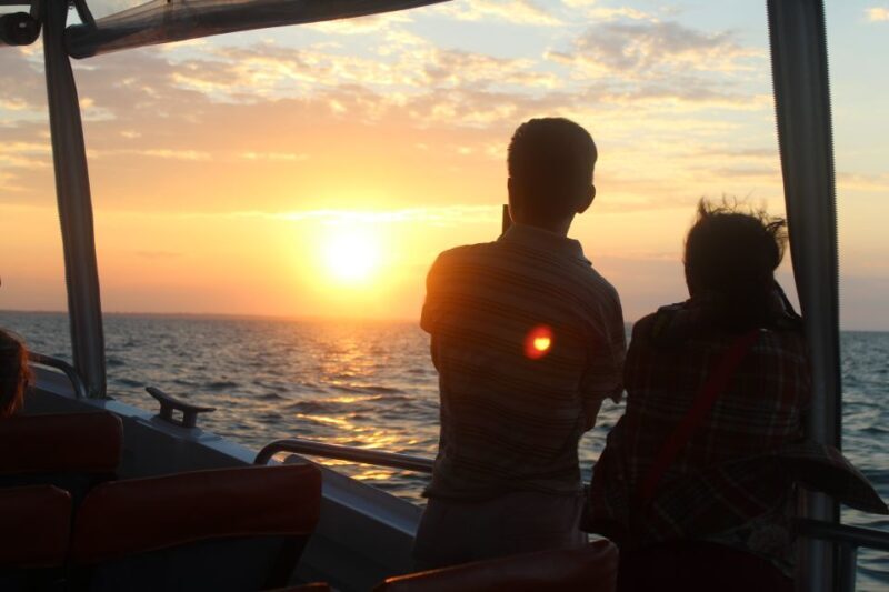 Hervey Bay: Ultimate Whale Watching Experience - An In-Depth Look at the Hervey Bay Whale Watching Tour