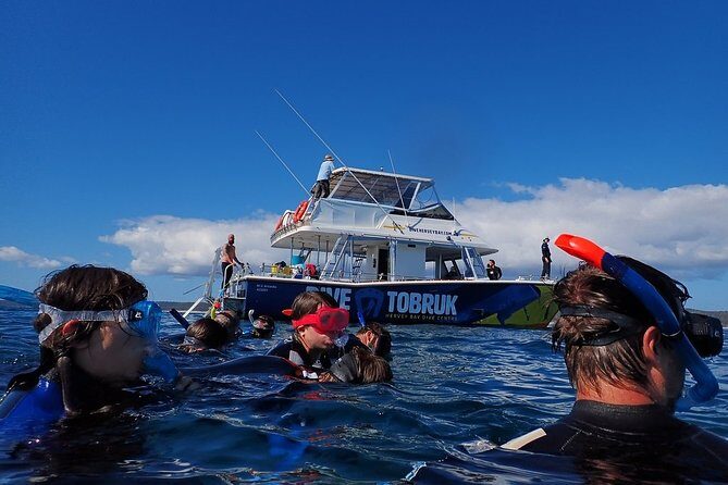 Hervey Bay Whale Swim and Watch - The Sum Up: Who’s It For?