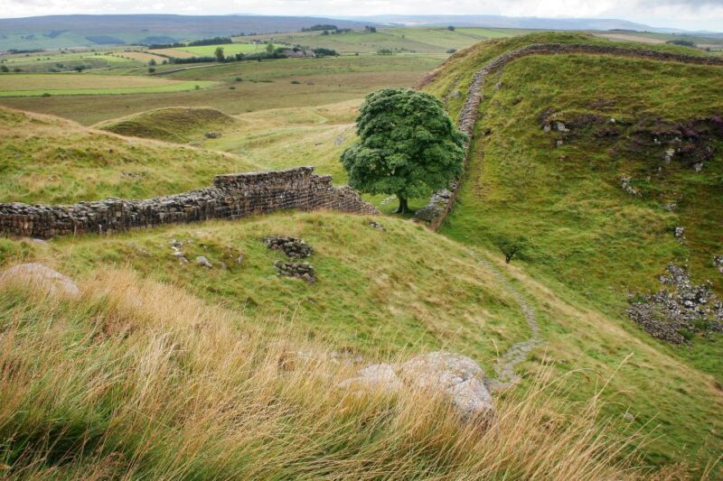 Hexham: Hadrian's Wall and The Romans Full Day Guided Tour - Exploring a Full Day of Roman History in Northumberland