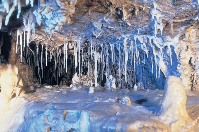 Hida Great Limestone Cave & Ohashi Collection Museum Admission in Takayama - What the ticket costs, and what you get