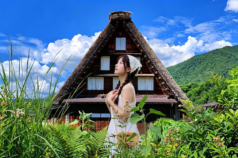 Hida-Takayama and Shirakawa-go Small Group Day Tour (Driver-Guide Service, Hotel Pickup and Drop-off Included) - Hotel pickup and the value of convenience