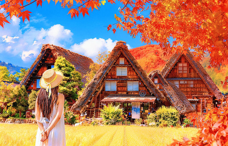 Hida Takayama & Shirakawa-go Gassho Village Day Trip (Departing from Nagoya, optional observatory tour included) - At a glance