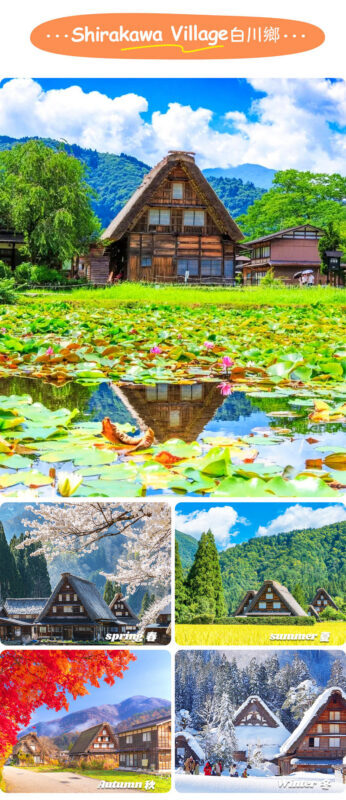 Hida Takayama & Shirakawa-go Gassho Village Day Trip (Departing from Nagoya, optional observatory tour included) - Price and value: what the fare does, and does not, cover