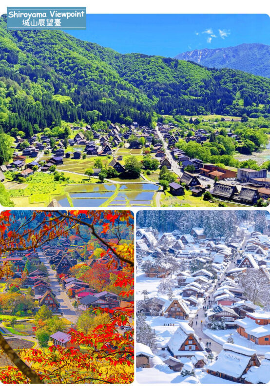 Hida Takayama & Shirakawa-go Gassho Village Day Trip (Departing from Nagoya, optional observatory tour included) - Practical details that can prevent a bad surprise