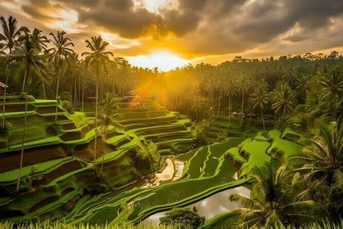 Hidden Bali Waterfalls And Scenic Rice Terrace With Lunch - The Itinerary: A Closer Look
