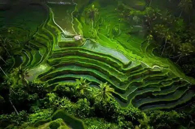 Hidden Bali Waterfalls And Scenic Rice Terrace With Lunch - Coffee and Tea Tasting at Segara Windhu Plantation