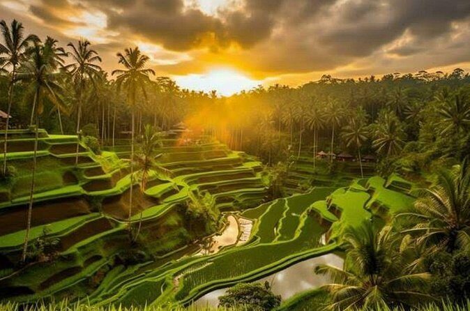 Hidden Bali Waterfalls And Scenic Rice Terrace With Lunch - Lunch at THE KAWI RESTO POOL AND BAR