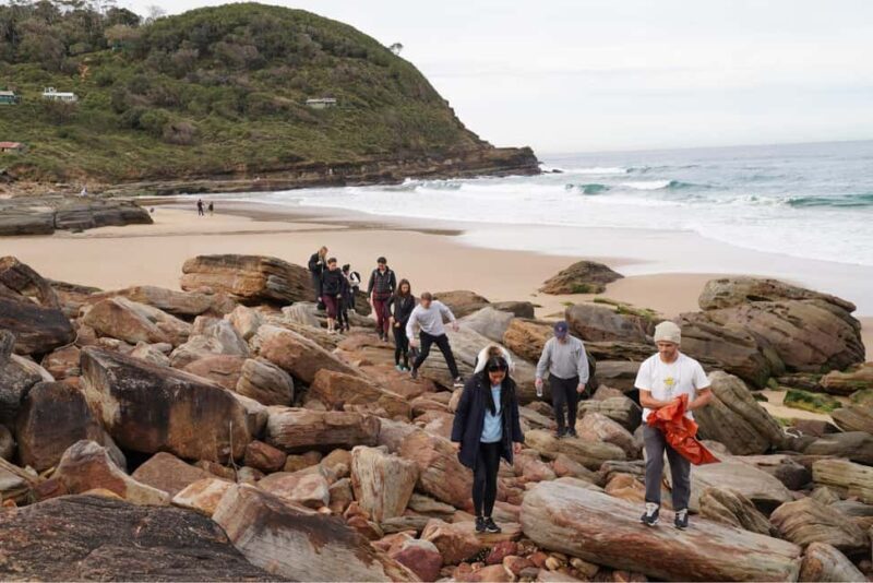 Hidden beaches and waterfalls Day trip ! - An In-Depth Look at the Experience