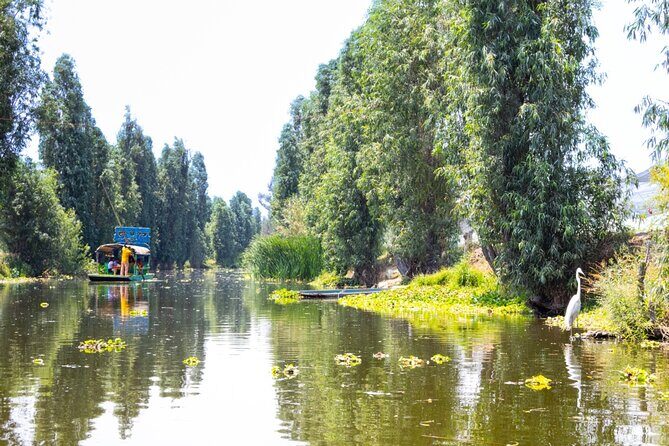 Hidden Canals of Tláhuac: A Peaceful Alternative to Xochimilco - Who Would Love This Tour?