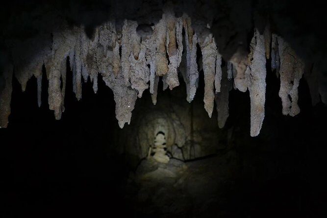 Hidden Cenote exploration in Playa del Carmen - Authenticity and Environmental Focus