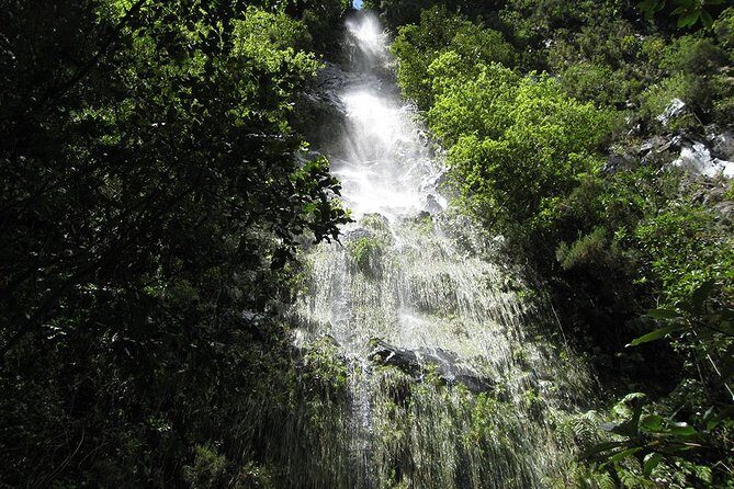 Hidden Corners: Levada Walk from Funchal - A Detailed Look at the Levada Walk Experience