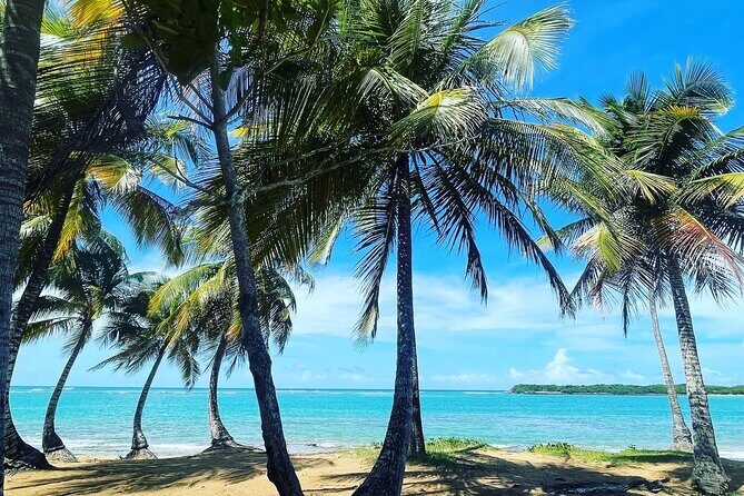 Hidden Fresh Spring of Water+ Cave+ Beach & Food Full Day Tour - Key Points