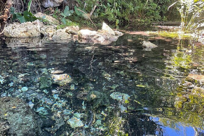 Hidden Fresh Spring of Water+ Cave+ Beach & Food Full Day Tour - FAQ