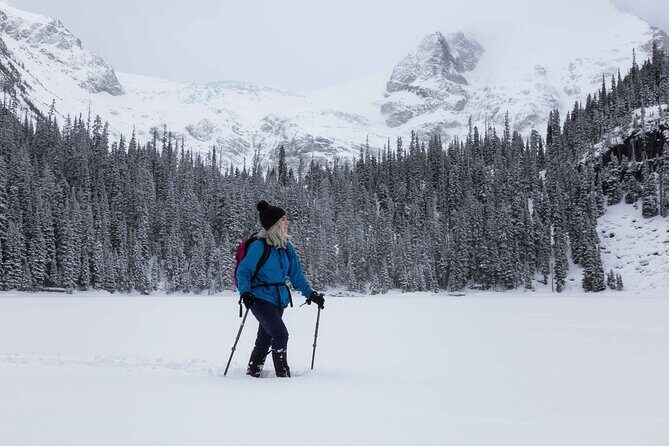 Hidden Frozen Gems of Yoho & Kootenay - Small Group Adventure - What the Experience Feels Like