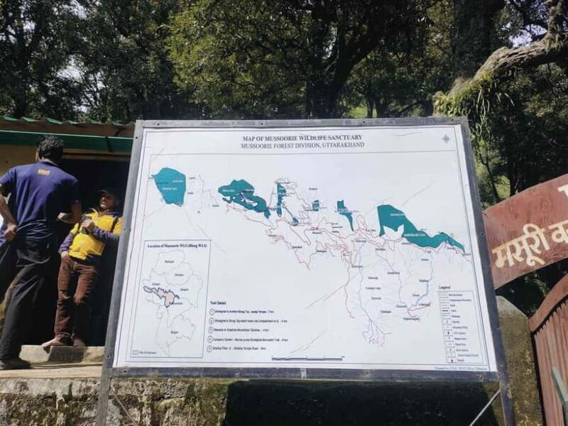 Hidden Gem of Mussoorie: Benog Hill Serenity Trek - Who Will Benefit Most from This Trek?