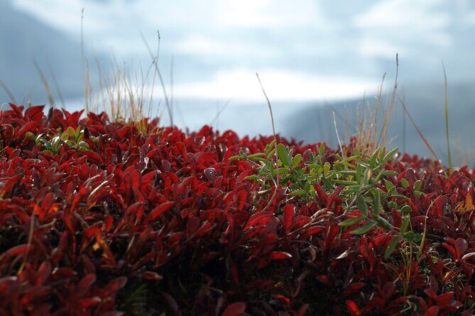 Hidden Gems | Banff | Icefields Parkway | Off The Beaten Path - Key Points