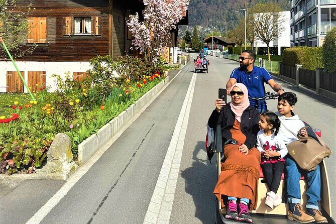 Hidden gems e-bike tour with picnic at Lake Brienz - Practical Tips and Considerations
