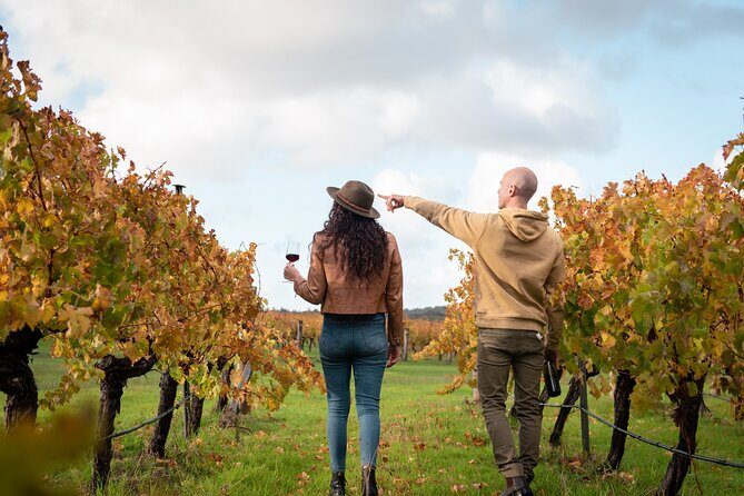 Hidden Gems: Full-Day Wine, Scones, Lunch and Local Produce Tour - Key Points