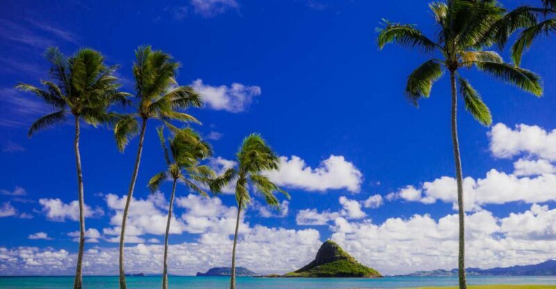 Hidden Gems of Oahu Circle Island Tour with Byodo-In Temple - Frequently Asked Questions