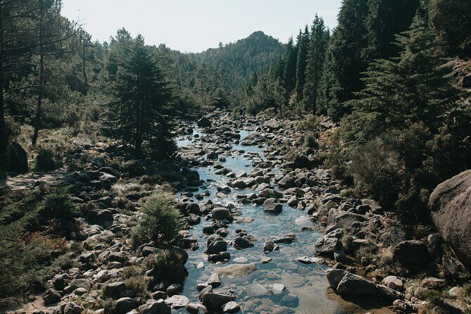 Hidden Gems of Peneda-Gerês National Park on a Full-Day Tour - FAQs