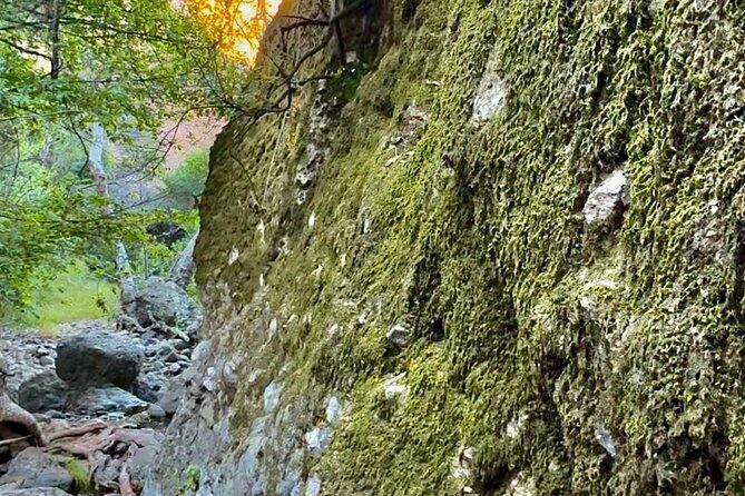 Hidden Grotto Waterfall eMTB & Hiking Adventure Malibu (Beginner) - FAQ: Your Questions Answered