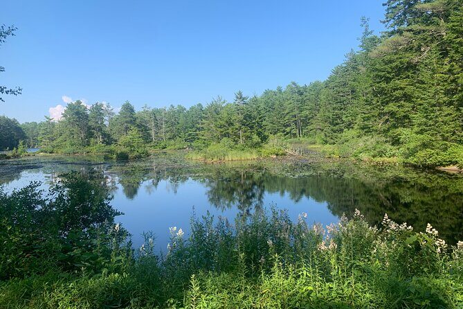 Hidden Harbor E Bike Tour of Boothbay Harbor - Who Will Love This Tour?