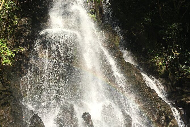 Hidden Hawaii Tours - FAQs