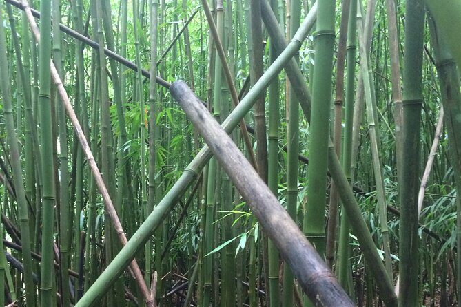 Hidden Hawaii Tours - Final Thoughts