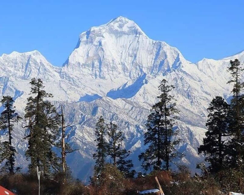 Hidden Himalayas: 8-Day Mohare Danda Trek via Nagi Village - Key Points