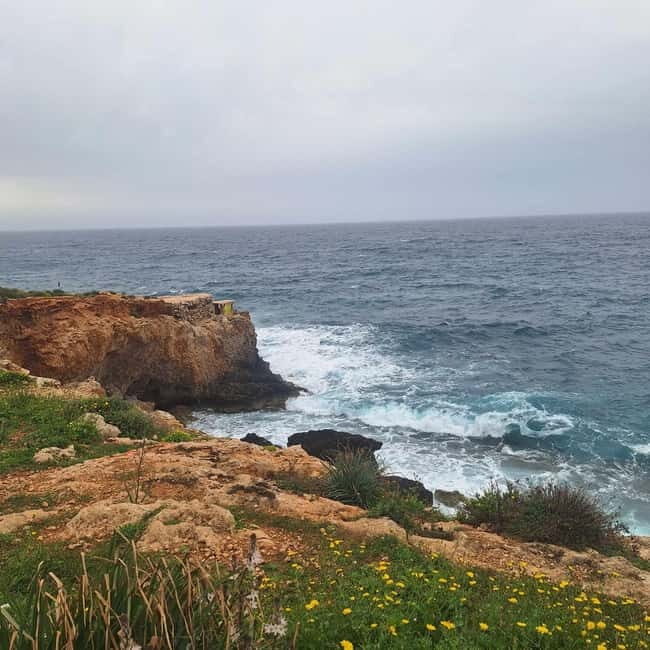 Hidden Malta: From Coastal Wonders to the Silent City - Who Is This Tour Perfect For?