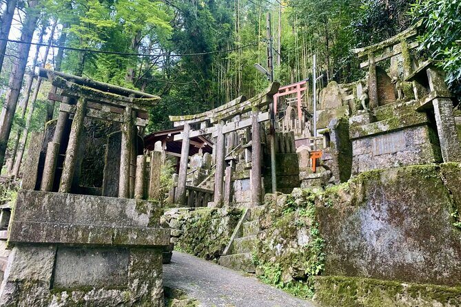 Hidden Secrets of Fushimi Inari: Bamboo Paths and Sake Village - Frequently Asked Questions