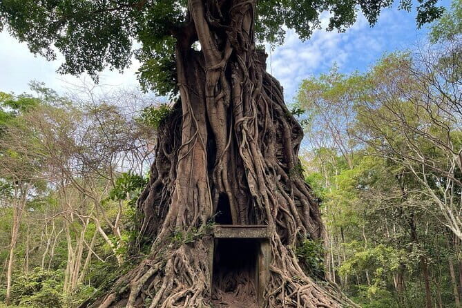"Hidden Treasures: Beng Mealea and Sambor Prei Kuk Temple tours - Final Thoughts: Is This Tour for You?