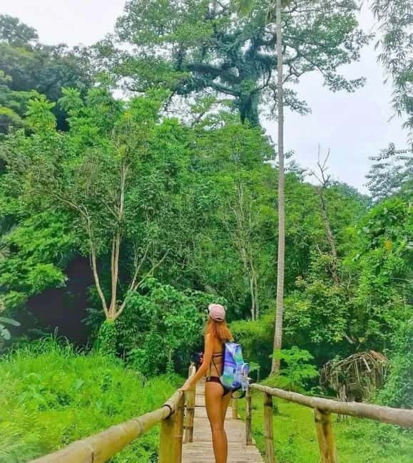 Hidden Valley Springs Alaminos with Lunch - Key Points