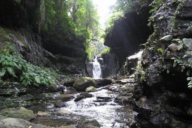 Hidden Valley Springs Resort Day Trip from Manila - Key Points