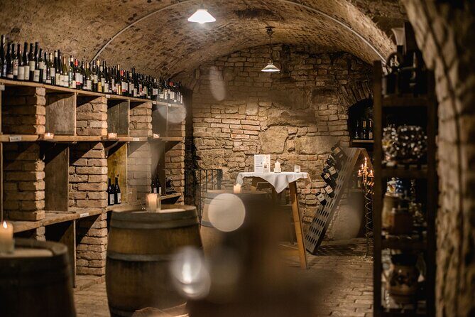 Hidden Wine Cellars Vienna - on the tracks of the Viennese wines - Exploring Vienna’s Hidden Cellars: An Authentic Peek Beneath the Streets