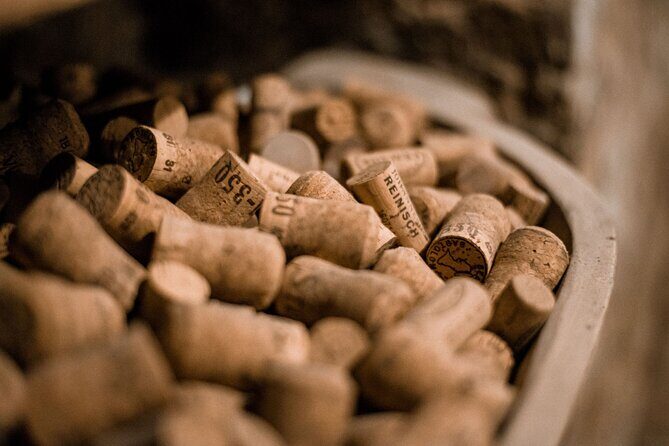 Hidden Wine Cellars Vienna - on the tracks of the Viennese wines - Who Will Love This Tour?