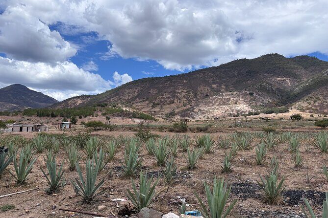 Hierve el Agua and Oaxaca Mezcal and Mole Experience - Frequently Asked Questions