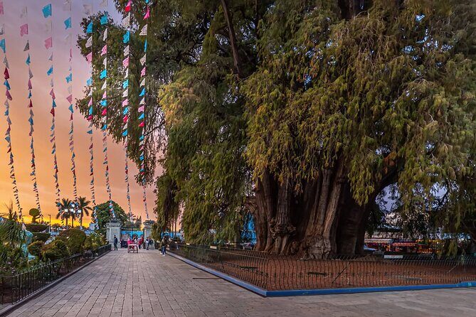 Hierve el Agua Artisanal Route with Mezcal and Oaxacan Food - Frequently Asked Questions