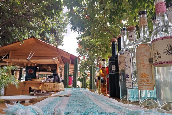 Hierve el Agua Guided Full Day Tour in Oaxaca - Real Traveler Perspectives