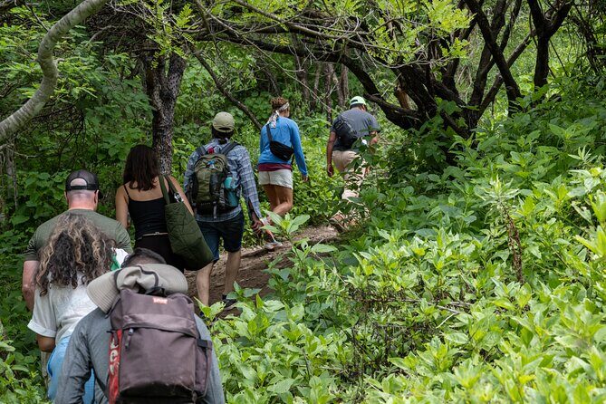 Hierve el Agua Half-Day: Early Access & Personal Guide + Pickup - The Sum Up