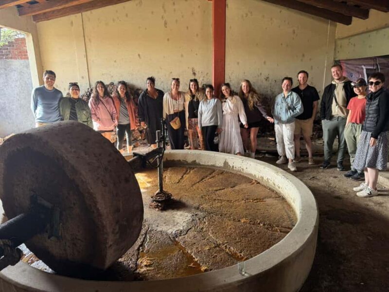 Hierve el Agua, Mitla, El Tule Tree, Rugs, Mezcal Distillery Tour - Final Thoughts on Value and Who Should Book This Tour