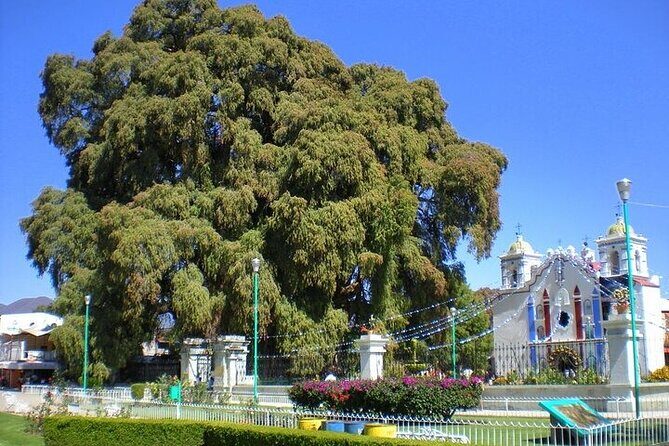 Hierve el Agua, Teotitlán del Valle, mezcal, el tule, desde Oaxaca - FAQ