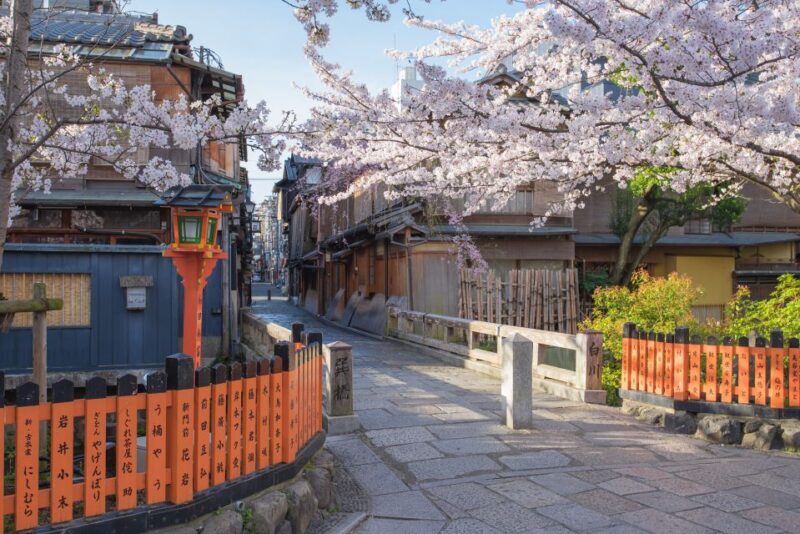 Higashiyama | Kyoto: Sakura Season Private Rickshaw Tour - Who Should Consider This Tour?