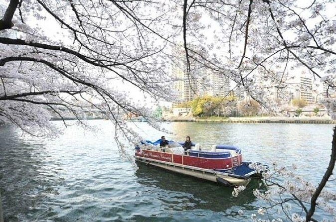 Higayoko River Night Cruise - FAQ