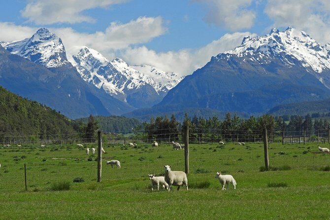 High Country Discovery Tour from Queenstown - Who Should Book This Tour?