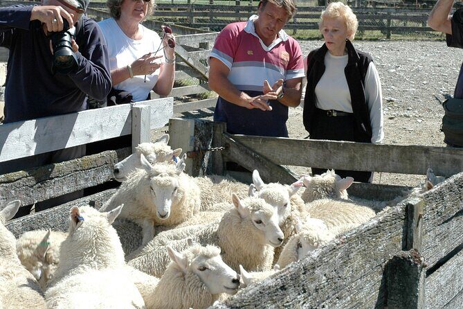 High Country Discovery Tour from Queenstown - Frequently Asked Questions